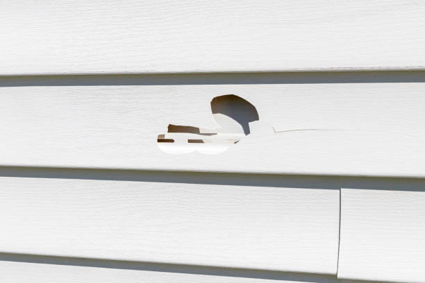 Best Siding Removal and Disposal  in Clovis, NM